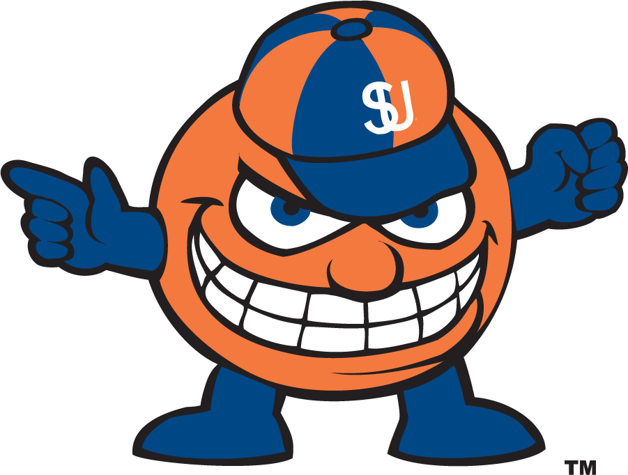 Syracuse Orange 2001-2004 Mascot Logo t shirts iron on transfers...